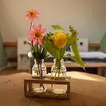 Casa de Férias Vakantieverblijf Weidezicht *