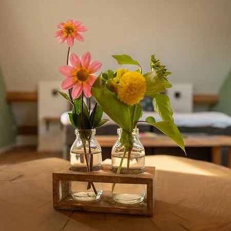 Prázdninový dům Vakantieverblijf Weidezicht *