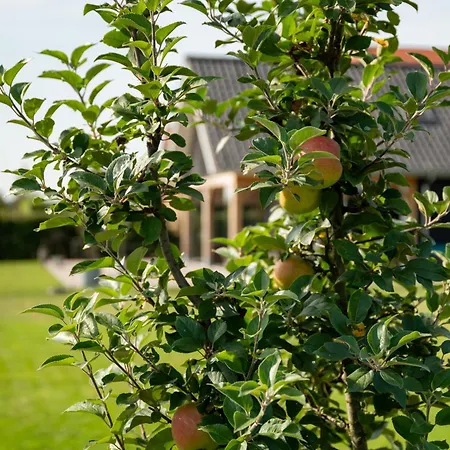 Prázdninový dům Vakantieverblijf Weidezicht