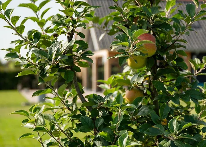 Hébergement de vacances Vakantieverblijf Weidezicht